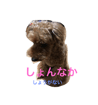 ANchiyan kurumedialect（個別スタンプ：3）