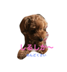 ANchiyan kurumedialect（個別スタンプ：7）