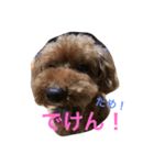 ANchiyan kurumedialect（個別スタンプ：8）