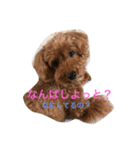 ANchiyan kurumedialect（個別スタンプ：11）
