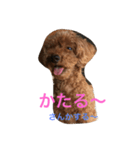 ANchiyan kurumedialect（個別スタンプ：15）