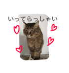 小梅さーん（個別スタンプ：2）