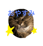 小梅さーん（個別スタンプ：5）