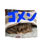 小梅さーん（個別スタンプ：6）