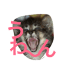 小梅さーん（個別スタンプ：7）