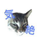 小梅さーん（個別スタンプ：8）