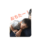 一哲です！（個別スタンプ：21）