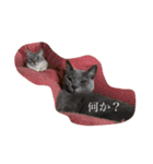 ちょっと使える（個別スタンプ：4）