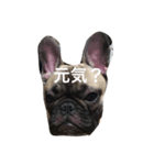 シワ丸くん（個別スタンプ：7）