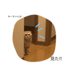 スコティッシュみーちゃん（個別スタンプ：2）