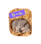 はむ吉くん（個別スタンプ：2）