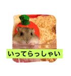 はむ吉くん（個別スタンプ：8）