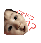 rinrei1（個別スタンプ：1）
