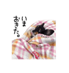 たまに石川弁の、との（個別スタンプ：26）
