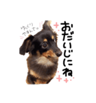 たまに石川弁の、との（個別スタンプ：38）