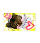 可愛いにゃんこ写真スタンプ（個別スタンプ：18）