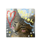可愛いにゃんこ写真スタンプ（個別スタンプ：28）