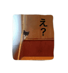 オセロはねこ（個別スタンプ：10）
