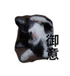 オセロはねこ（個別スタンプ：13）