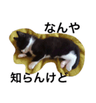 オセロはねこ（個別スタンプ：14）