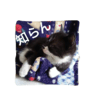 オセロはねこ（個別スタンプ：16）