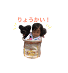 haruto fuuka hiyori（個別スタンプ：6）