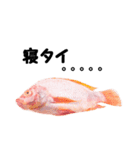 魚のスランプ(実写)（個別スタンプ：1）