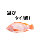 魚のスランプ(実写)（個別スタンプ：2）