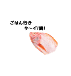 魚のスランプ(実写)（個別スタンプ：3）