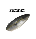 魚のスランプ(実写)（個別スタンプ：8）