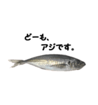 魚のスランプ(実写)（個別スタンプ：9）