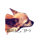 もんちゃろ（個別スタンプ：1）