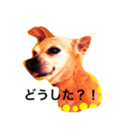 もんちゃろ（個別スタンプ：2）