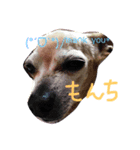 もんちゃろ（個別スタンプ：4）