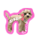 momo stamp 1st（個別スタンプ：1）