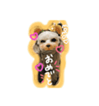 momo stamp 1st（個別スタンプ：3）