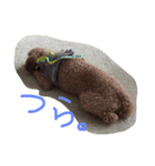 reontaka（個別スタンプ：1）