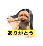 reontaka（個別スタンプ：2）