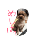 reontaka（個別スタンプ：3）