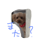 reontaka（個別スタンプ：6）