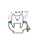 White cat Every day（個別スタンプ：1）