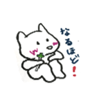White cat Every day（個別スタンプ：3）