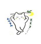 White cat Every day（個別スタンプ：5）