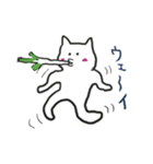 White cat Every day（個別スタンプ：9）