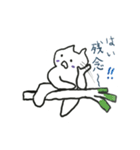 White cat Every day（個別スタンプ：13）