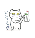 White cat Every day（個別スタンプ：27）