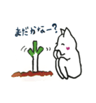 White cat Every day（個別スタンプ：32）