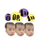caisen＆caibao part2（個別スタンプ：3）