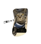k.k.Tabby（個別スタンプ：7）
