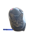 k.k.Tabby（個別スタンプ：10）